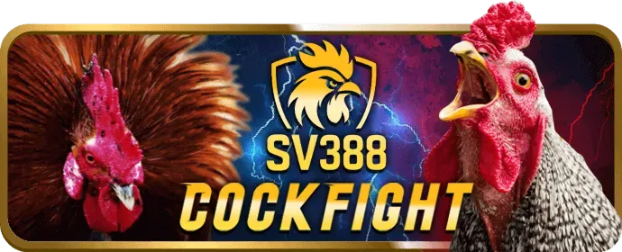 Ưu điểm nền tảng Viebet Win